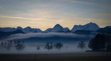 Photo by Adaira on Unsplash Photo by Adaira on Unsplash