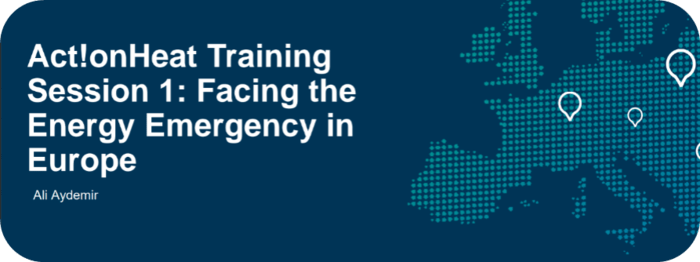 Facing the Energy Emergency in Europe